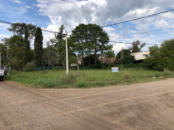 GRAN LOTE EN ALTOS DEL SAUCE