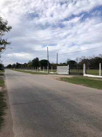 DEPARTAMENTO DOS DORMITORIOS EN PLANTA BAJA