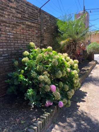 DEPARTAMENTO ZONA SUR