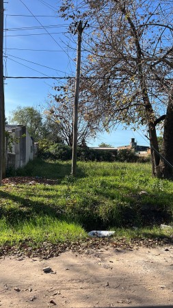 Terreno zona Purina