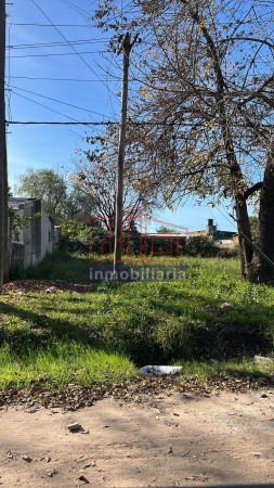 terreno zona Purina