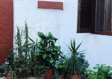DEPARTAMENTO DOS DORMITORIOS EN PLANTA BAJA / ZONA BANCOS