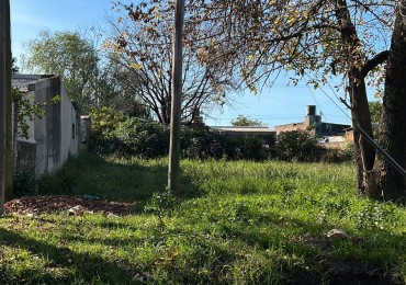 Terreno zona Purina